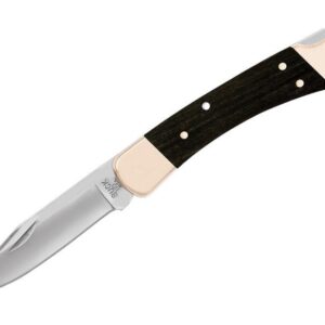 Buck Knives 110 Folding Hunter Lock-Back Knife - 0110BRS-B