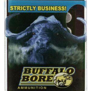 Buffalo Bore Ammunition 27A/20 Pistol 380 ACP +P 100 gr Hard Cast Flat Nose (HCFN) Handgun Ammo - 20 Rounds - 80745