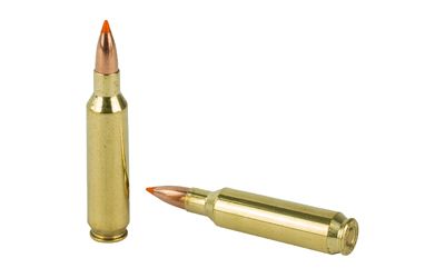 NOSLER Trophy 22 Nosler 55Gr Ballistic Tip Rifle Ammo - 20 Rounds - NOS61030 - Image 3