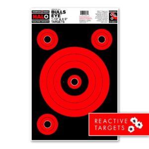 Thompson Targets 4641-5 HALO BULLSEYE 1-10" & 4-3" TARGETS (5 PACK) - 4641-5